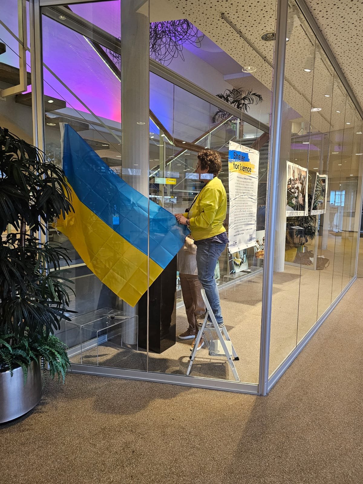 Тетяна Гриньова